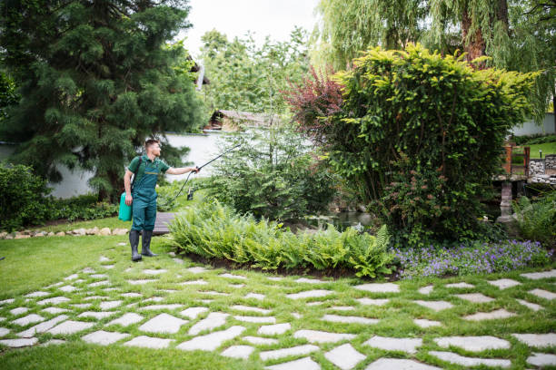 Trusted West Laurel, MD Pest Control Experts
