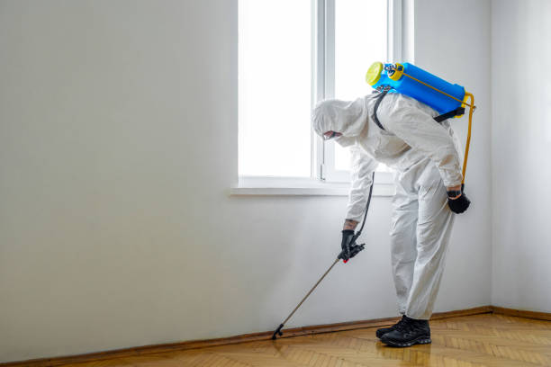  West Laurel, MD Pest Control Pros