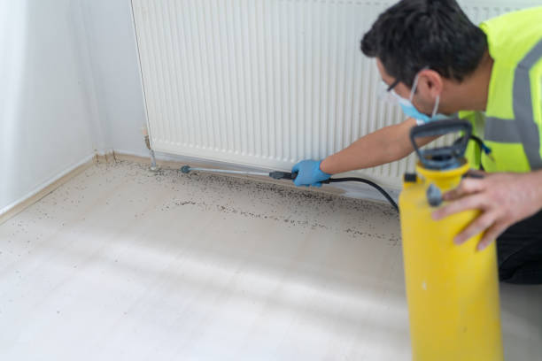 Best Ant Control Services  in West Laurel, MD