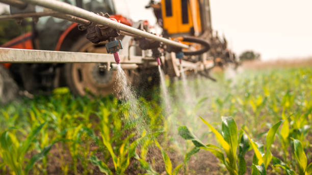 Best Pest Control for Businesses  in West Laurel, MD